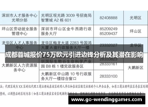 成都蓉城报价75万欧元引进边锋分析及其潜在影响