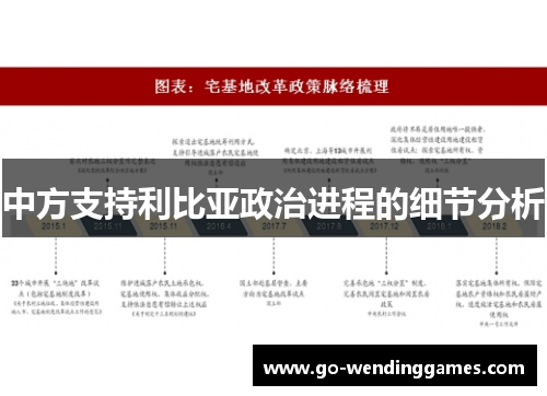 中方支持利比亚政治进程的细节分析