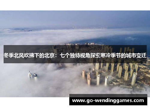 冬季北风吹拂下的北京：七个独特视角探索寒冷季节的城市变迁
