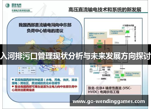 入河排污口管理现状分析与未来发展方向探讨