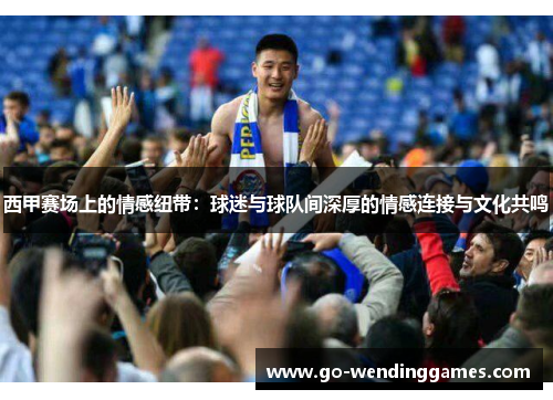 西甲赛场上的情感纽带：球迷与球队间深厚的情感连接与文化共鸣