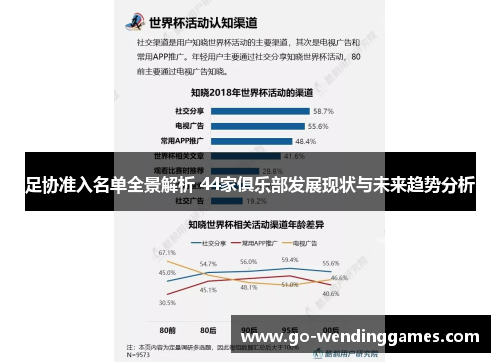 足协准入名单全景解析 44家俱乐部发展现状与未来趋势分析