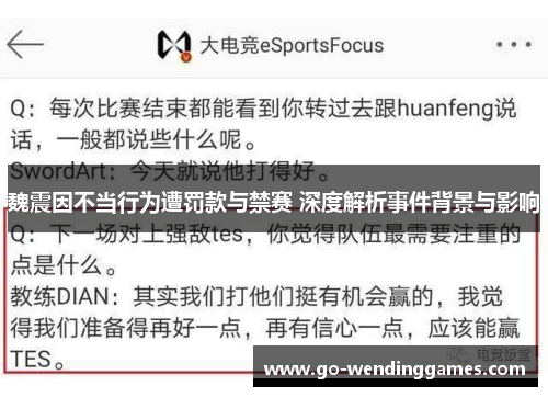 魏震因不当行为遭罚款与禁赛 深度解析事件背景与影响