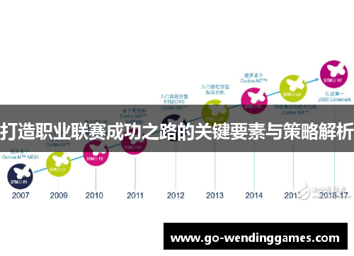 打造职业联赛成功之路的关键要素与策略解析