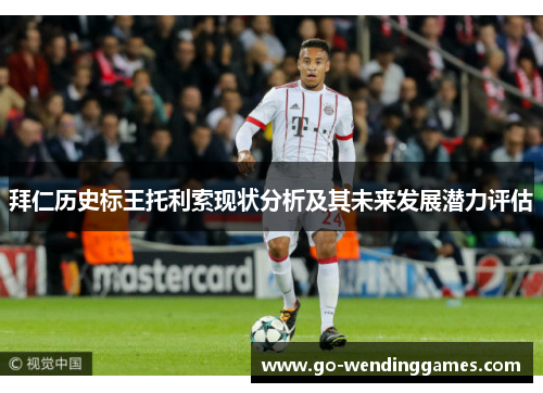 拜仁历史标王托利索现状分析及其未来发展潜力评估