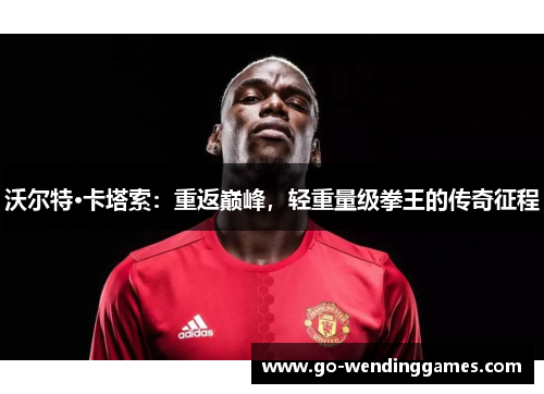 沃尔特·卡塔索：重返巅峰，轻重量级拳王的传奇征程