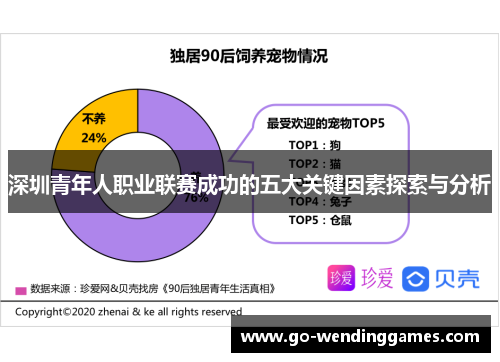 深圳青年人职业联赛成功的五大关键因素探索与分析