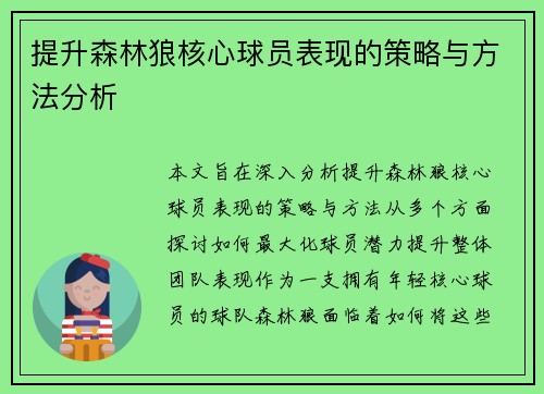 提升森林狼核心球员表现的策略与方法分析